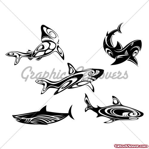 Tribal Shark Tattoos designs