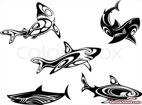 Shark Tattoos Tribal Collection