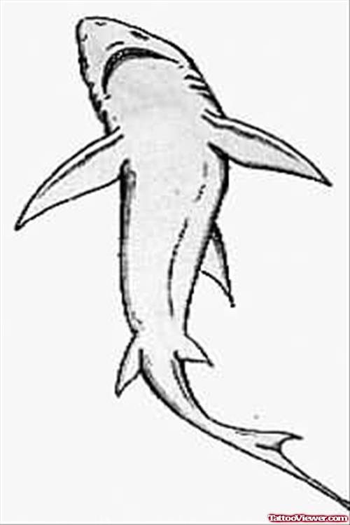 Shark tattoo Design Picture