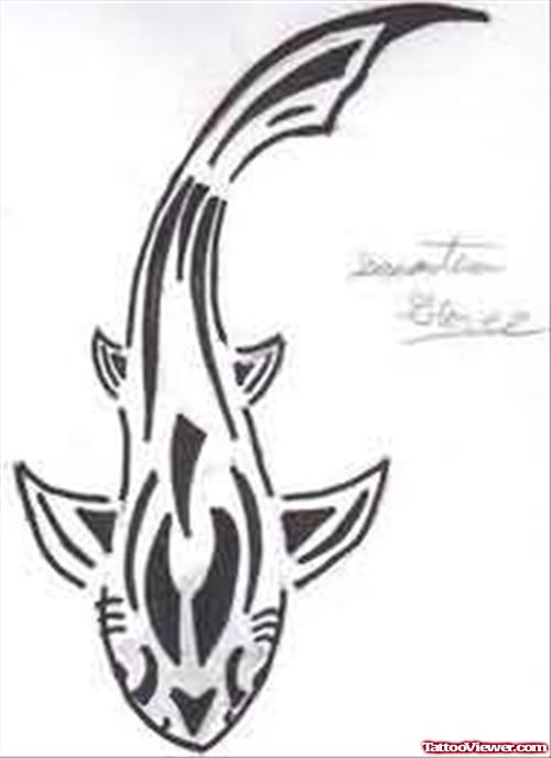 New Designs For Shark Tattoo