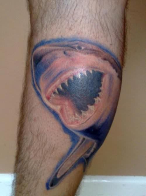 Awesome Shark Tattoo On Leg