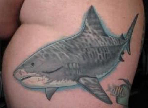 Tiger Shark Tattoo On Side Rib