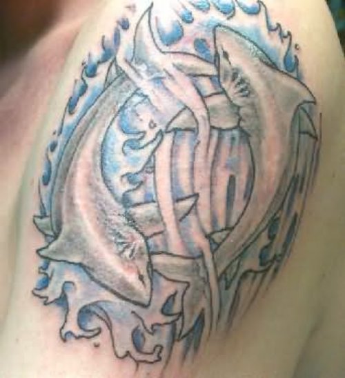 Shark Pair Tattoo On Shoulder