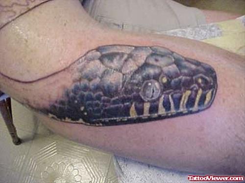 Snake Face Tattoo On Shoulder