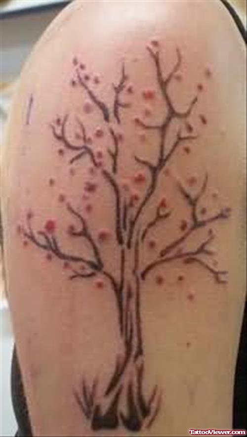 Tree Tattoos On Shoulder