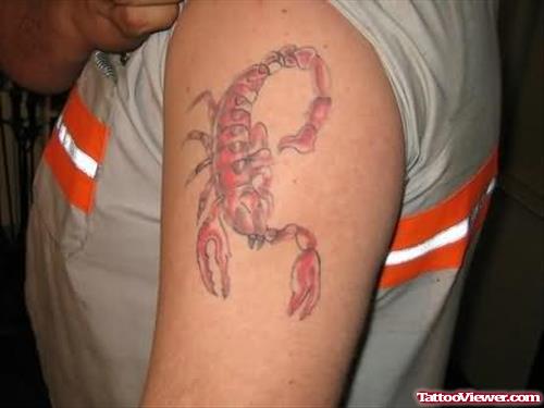 Red Scorpion On Shoulder