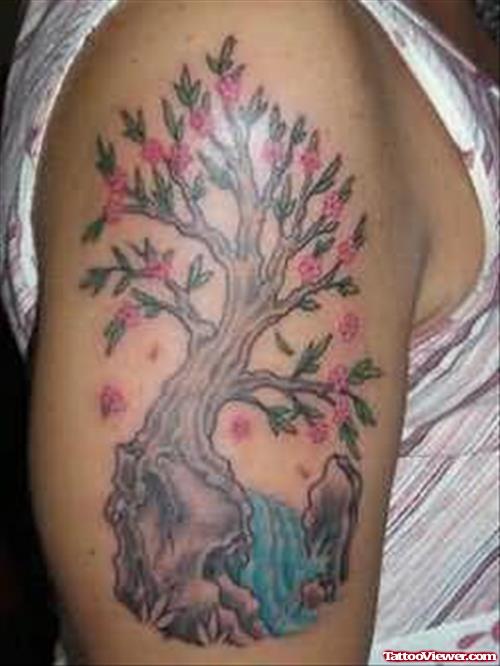 Flower Tree Tattoo On Shoulder