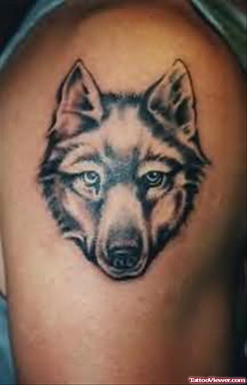 Wolf Tattoo On Shoulder