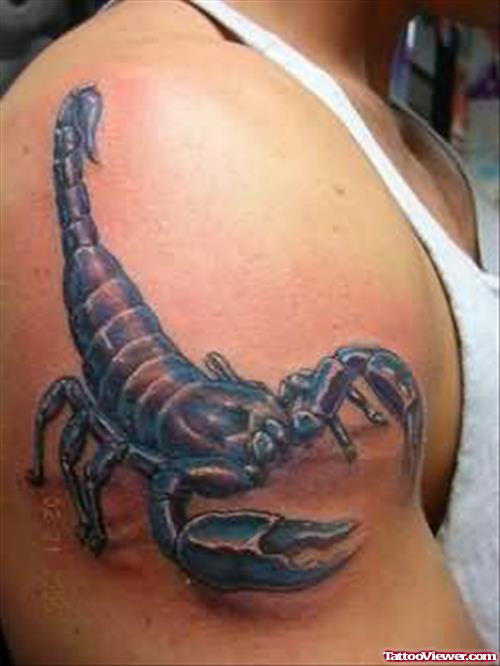 Dangerous Scorpion On Shoulder