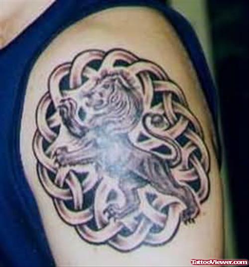 Lion Celtic Tattoo On Shoulder