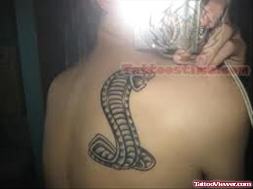 Cobra Tattoo On Back