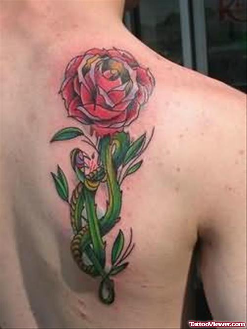 Tattoo of Snake with A Rose