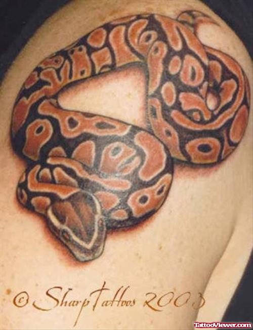 Tattoo Snake Skull And Rose