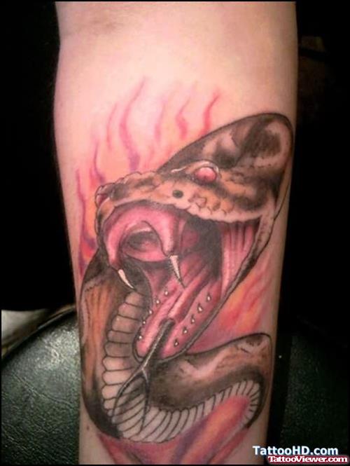 Snake Flaming Tattoo On Arm