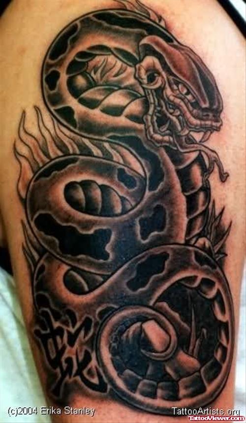 Dragon Snakes Biceps Tattoo