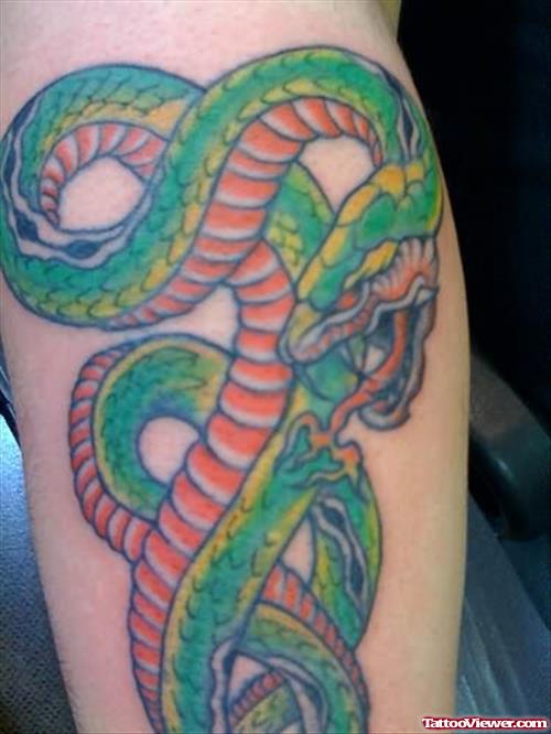 Amazing Green Snake Tattoo
