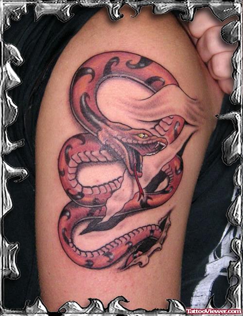 Red Snake Tattoo On Bicep
