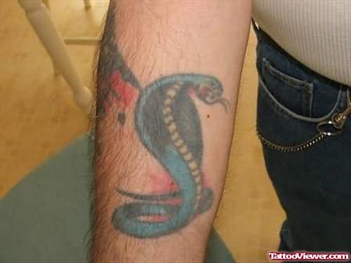 Cobra Snake Tattoo For Arm