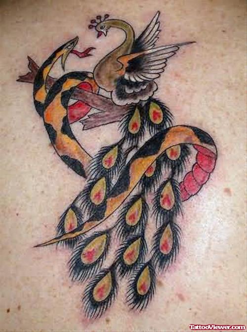 Peacock And Snake Tattoo