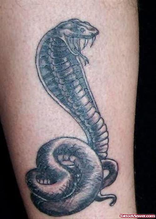 Dangerous Black Snake Tattoo