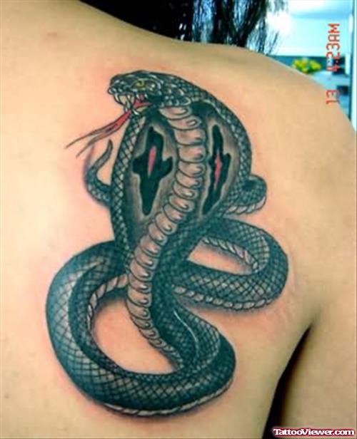Cobra  Snake Tattoo On Back