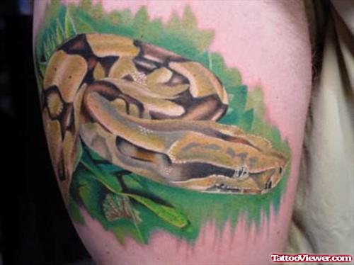 Brown Snake Tattoo