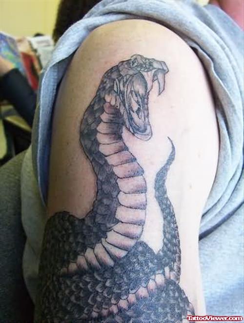 Black Cobra Snake Tattoo On Shoulder