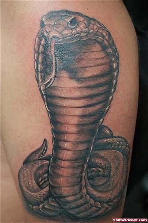 Awesome Snake Tattoo on Bicep