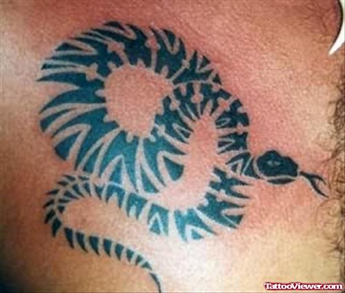 Snake Tattoos Tribal