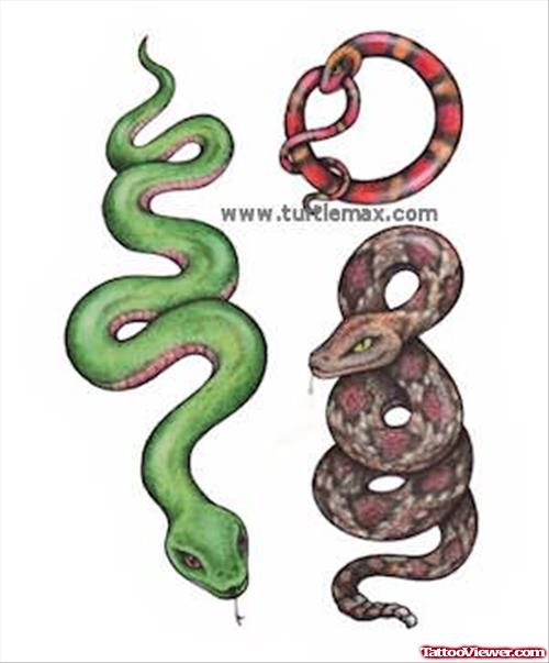 Slithering Snake Tattoos Designs