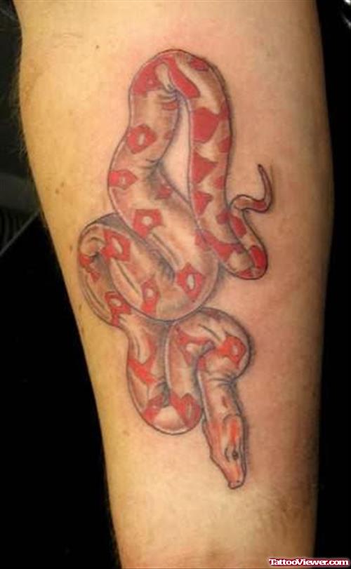 Red Snake Tattoo On Leg