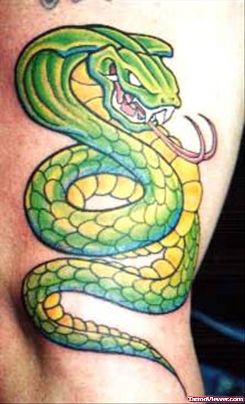Green Snake Tattoo
