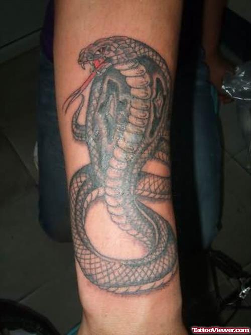 Cobra Snake Tattoo On Arm