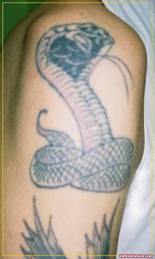Aweosme Snake Sitting Tattoo