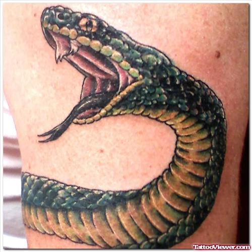Snake Tattoo Design By Admin