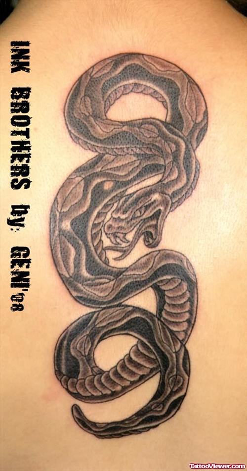 Snake Black Ink Tattoo
