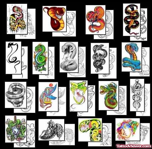 Latest Snake Tattoos Designs Collection