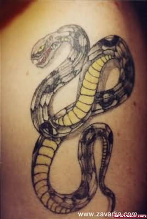 Colourful Snake Body Tattoo