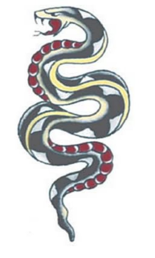 White And Green Snake Tattoos Designs