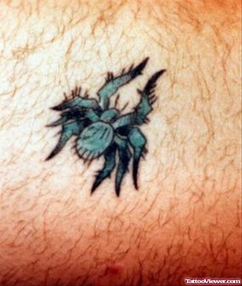 Amazing Spider Tattoo