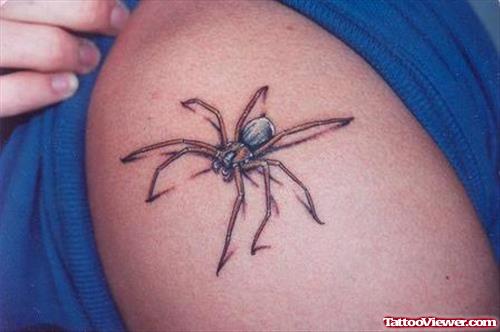 Small Size Spider Tattoo On Shoulder