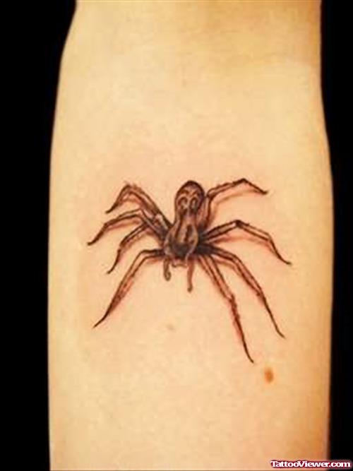Spiders Tattoos Designs