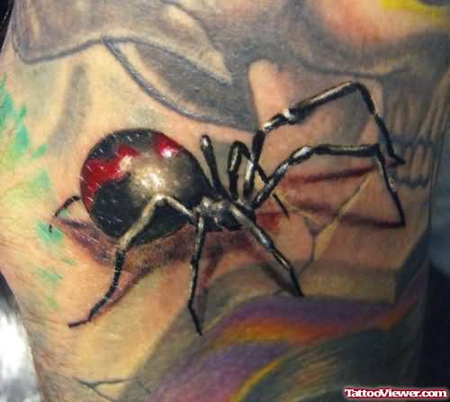 Spider Colourful Tattoo
