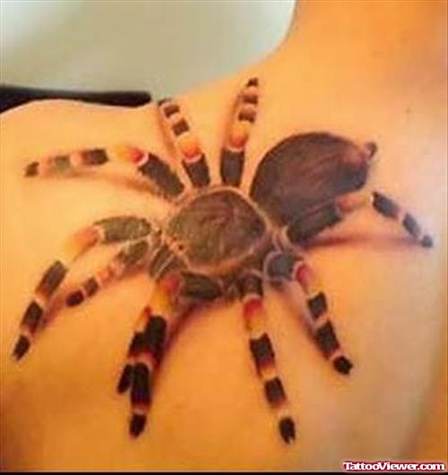 Coloured Spider Tattoo For Back Body