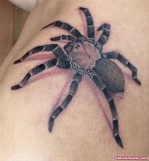 Black And Grey Spider Tattoo