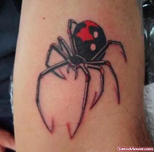 Beautiful Spider Tattoo By Tattoostime