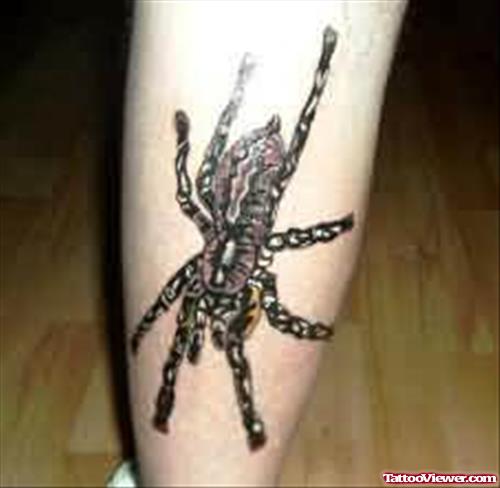 Marvelous Spider Tattoo On Leg