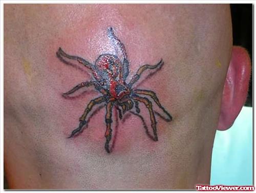 Spider Tattoo On Back Head