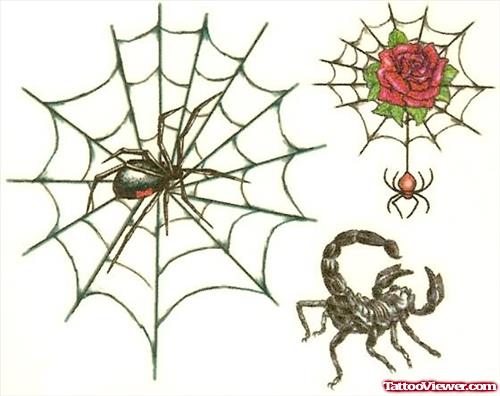Spider And Web Tattoos Designs