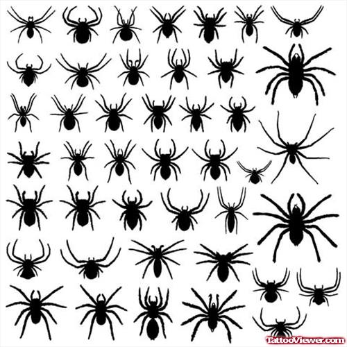 New Spiders Tattoos Designing Picture